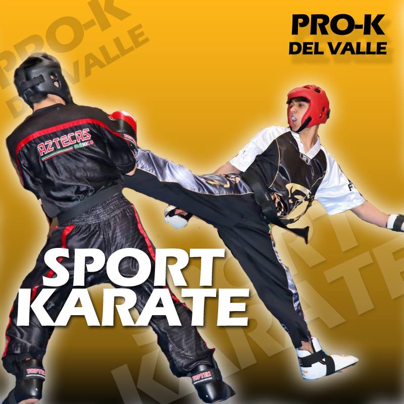 Pro-k en Karate Do